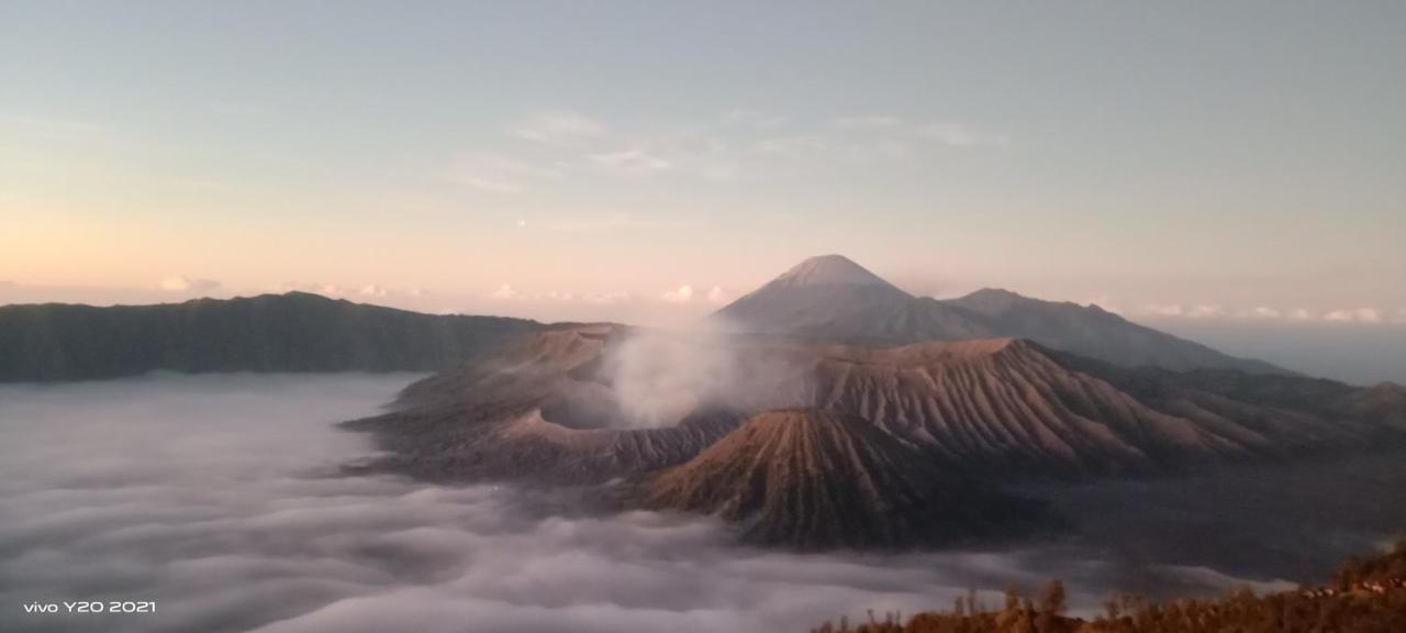 Javalindra Homestay Tour And Travel 바뉴왕기 외부 사진