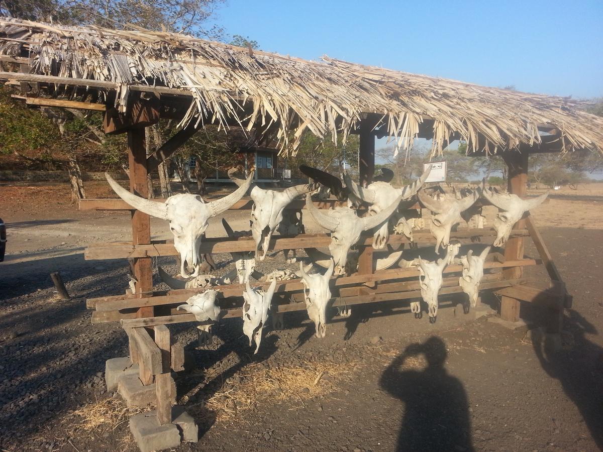 Javalindra Homestay Tour And Travel 바뉴왕기 외부 사진